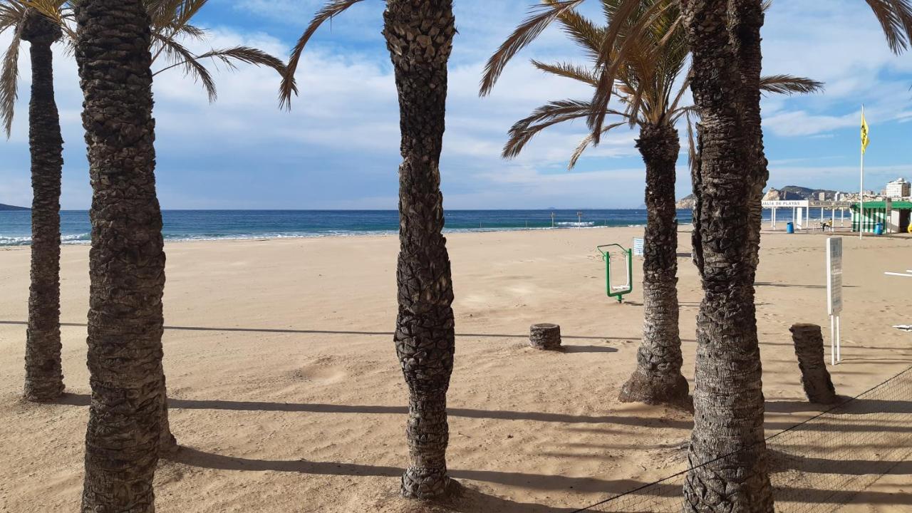 Appartement Benidorm Mariscal Exteriör bild